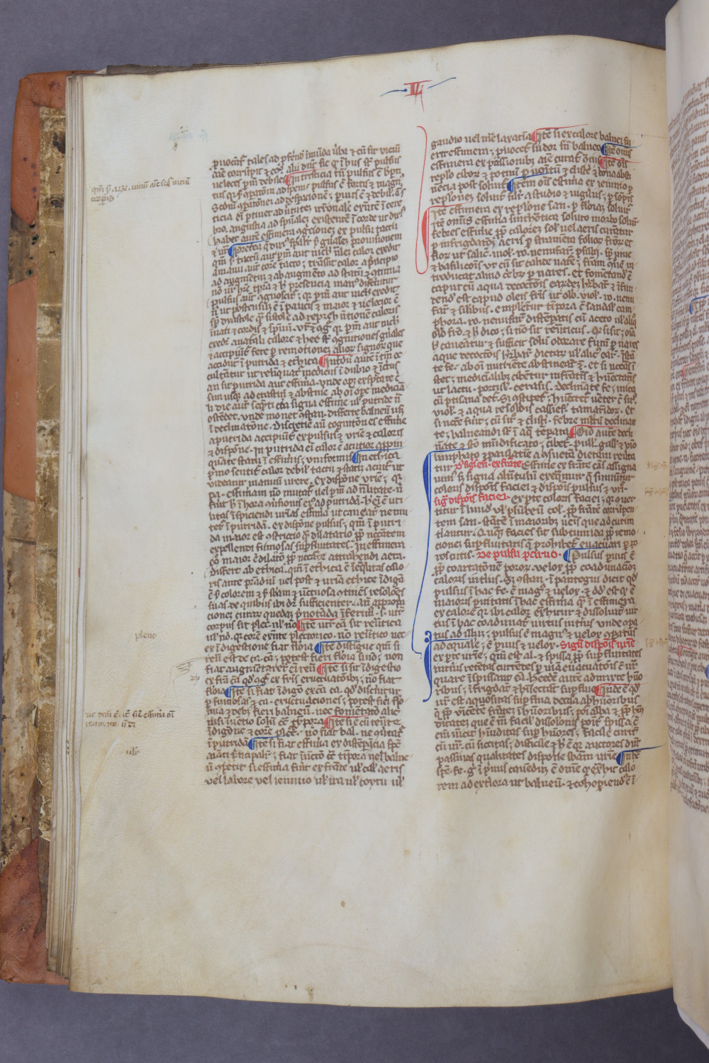 Folio 26 verso